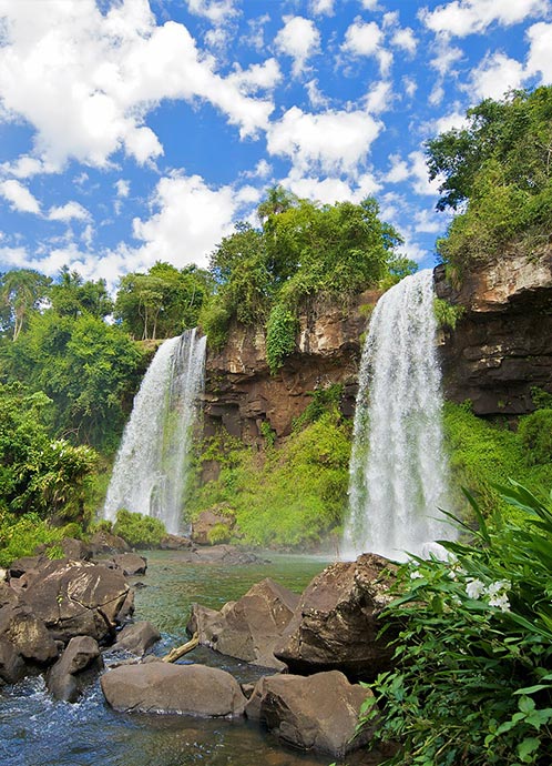 Secretaria que representa la presentación de la empresa, con naturaleza, idiomas y diversión